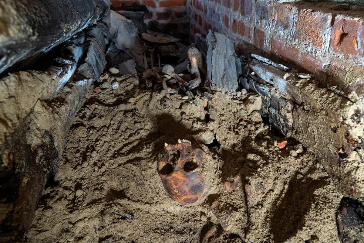 W Kazimierzu Biskupim (woj. wielkopolskie) rozpoczął się kolejny, przełomowy etap badań podziemi kościoła pw. św. Jana Chrzciciela i Pięciu Braci Męczenników. Zespół naukowców wszedł do zamkniętej dotąd krypty pod ołtarzem, odkrywając nieznane pochówki i zaskakujące praktyki pogrzebowe, które mogą rzucić nowe światło na historię tego miejsca.