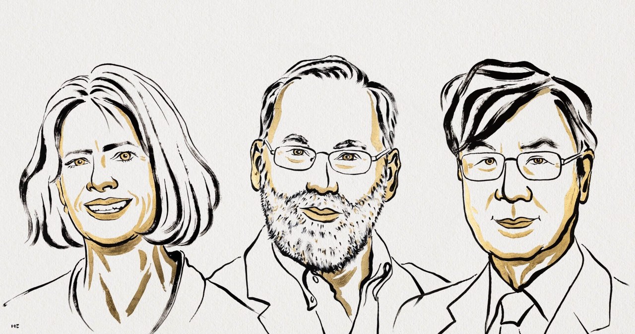 Nobel z medycyny: Odkryli "strażników" układu odpornościowego