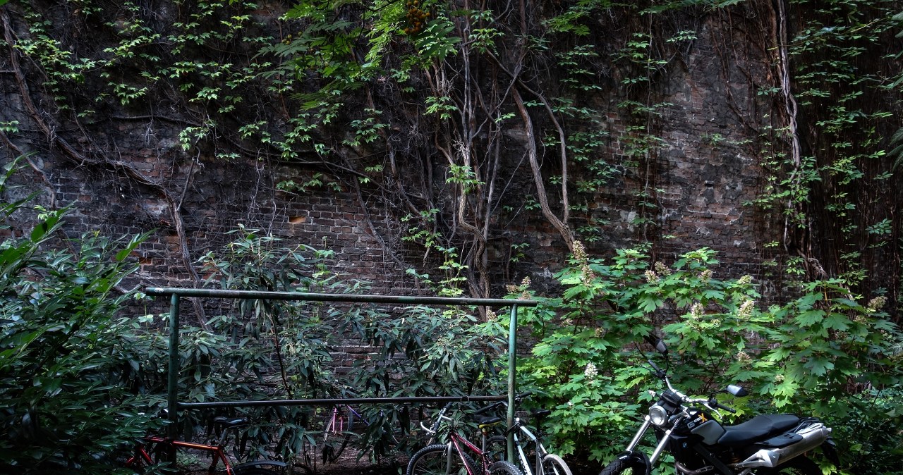 Kultowy obrazek w PRL. Tak wtedy wyglądało dzieciństwo