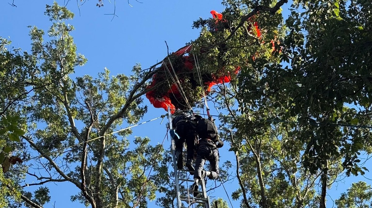 Tragiczny skok w tandemie. Instruktor nie żyje, uczeń zawisł na drzewie