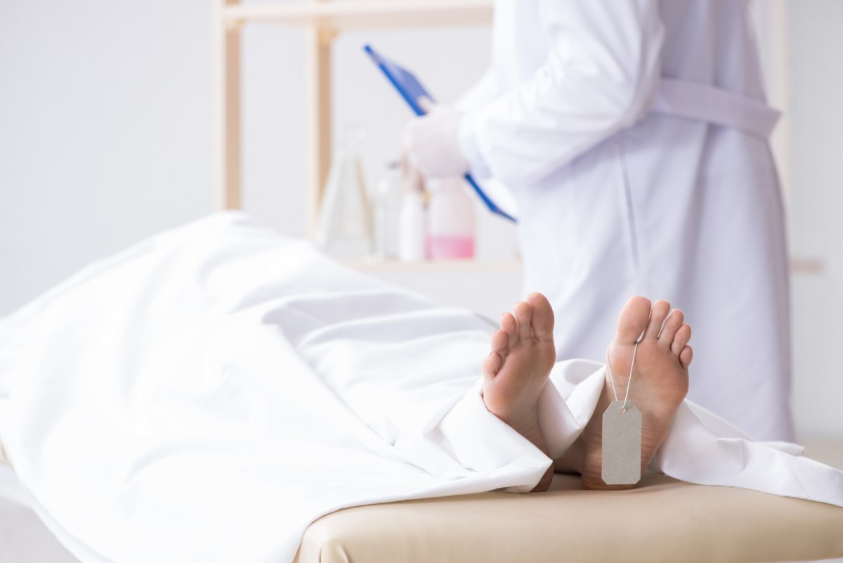 Makabryczny proceder na Harvardzie: Kradzież, sprzedaż zwłok i decyzja sądu