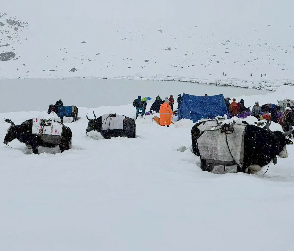 "Najgorsza burza śnieżna, jaką widziałem". Jedna osoba nie żyje, kilkaset uwięzionych