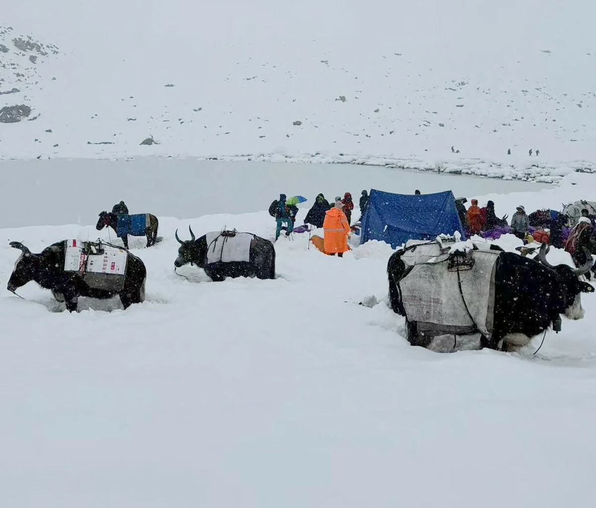 Setki turystów zostały uwięzione w dwóch popularnych rejonach wycieczkowych w Chinach. Powodem były gwałtowne śnieżyce. W Tybecie uratowano 350 osób z okolic Mount Everestu, trwa sprowadzanie kolejnych 200. W prowincji Qinghai ewakuowano 137 turystów. Jedna osoba zmarła z wychłodzenia.