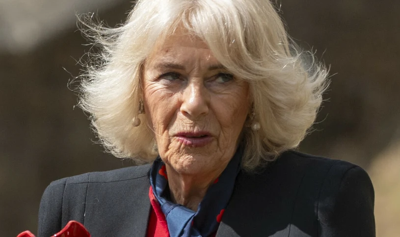 To musiała zmienić żona króla Karola. Nikt nie zaakceptowałby takich słów