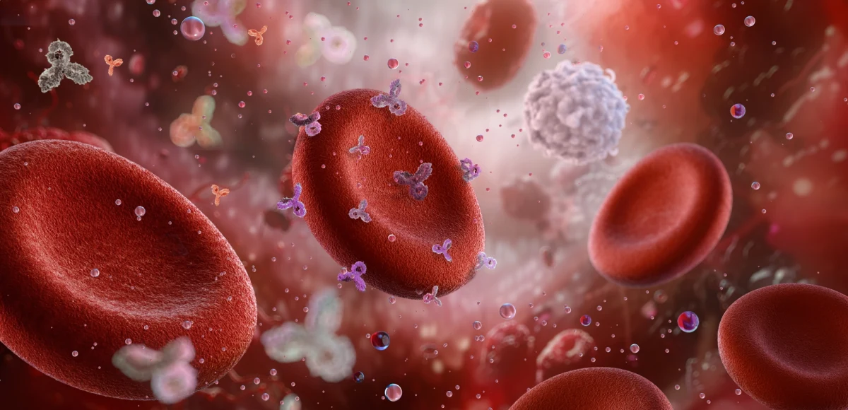 Najnowsze badania wskazują, że osoby z określoną grupą krwi mogą być bardziej narażone na udar przed 60. rokiem życia. Wyniki analiz genetycznych sugerują, że grupa krwi A wiąże się z wyższym ryzykiem wczesnego udaru, podczas gdy osoby z grupą 0 są mniej zagrożone. Naukowcy podkreślają jednak, że ryzyko to jest niewielkie i nie wymaga dodatkowych środków ostrożności.