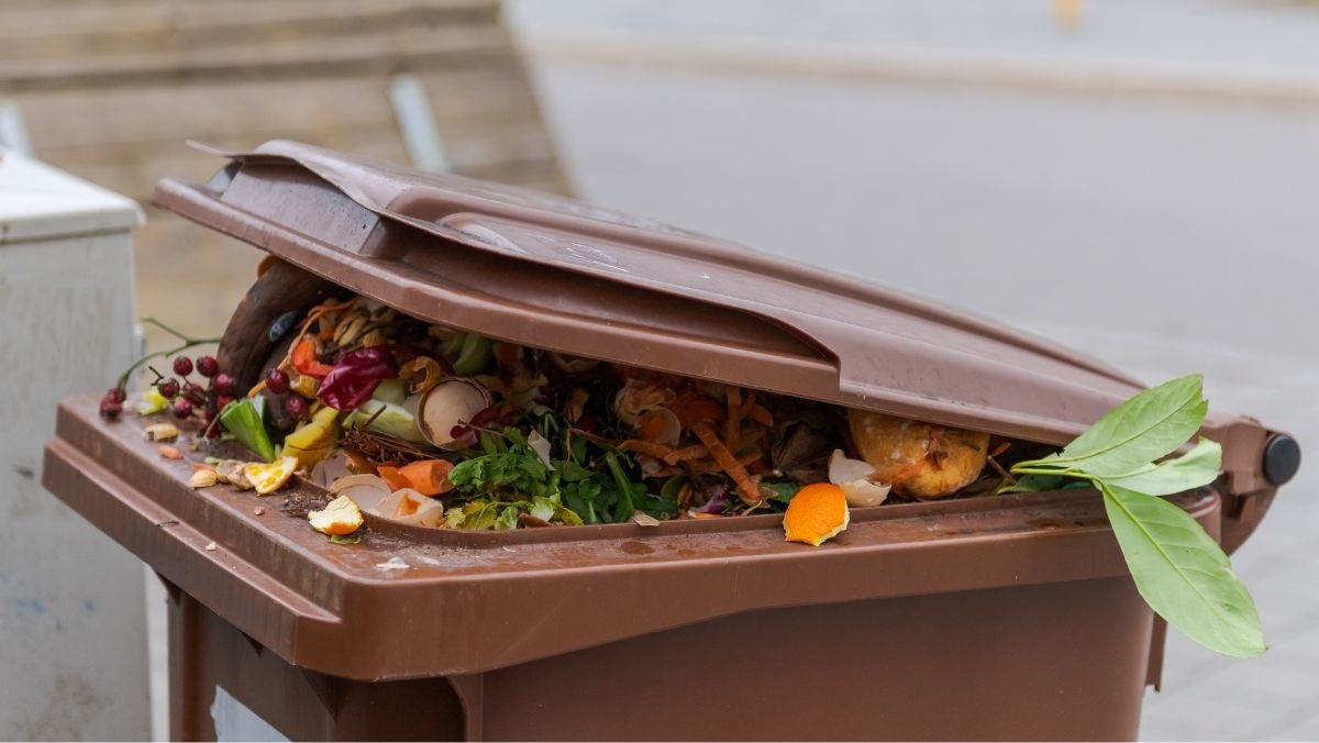 Nowe zasady odbioru odpadów komunalnych. Wyższe opłaty i surowsze wymogi segregacji