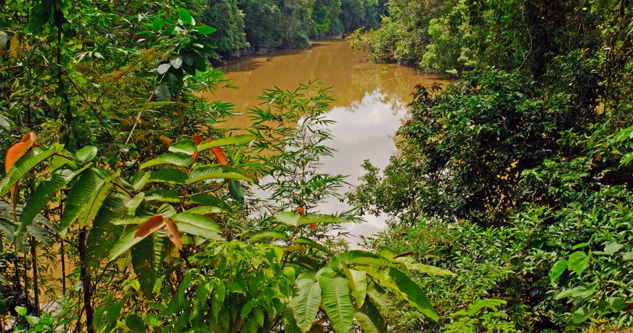 Badacze odkryli coś niepokojącego u rdzennych ludów Amazonii