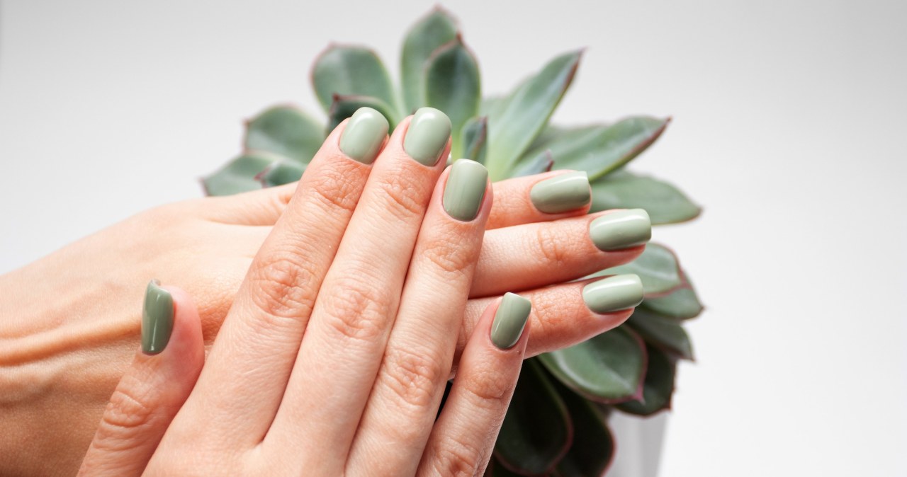 wiadomości,aktualności,Interia Zieleń szałwii podbija trendy. Subtelny, elegancki, ponadczasowy manicure