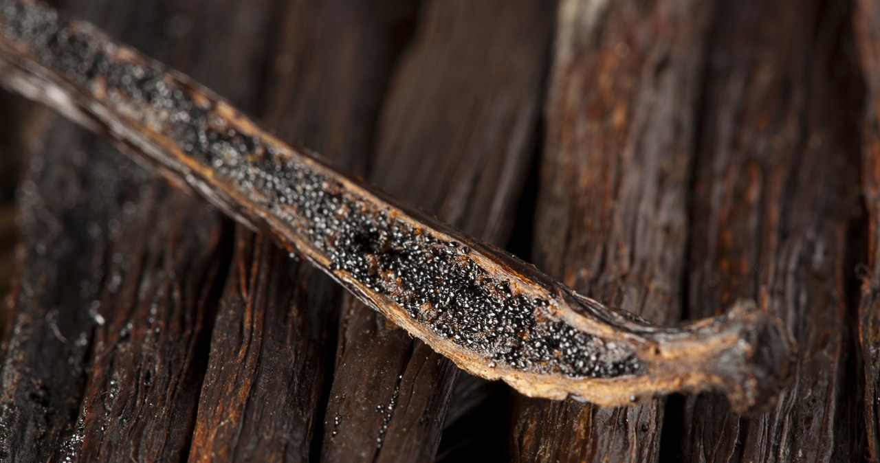 Dzięki tym ziarenkom przestaniesz jeść słodycze. Wzmocnisz serce i układ pokarmowy