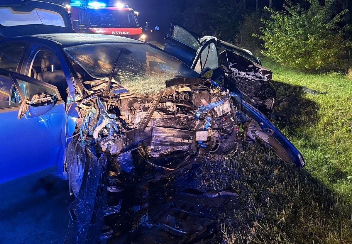 Dzieci wśród ciężko rannych po wypadku na prostej drodze