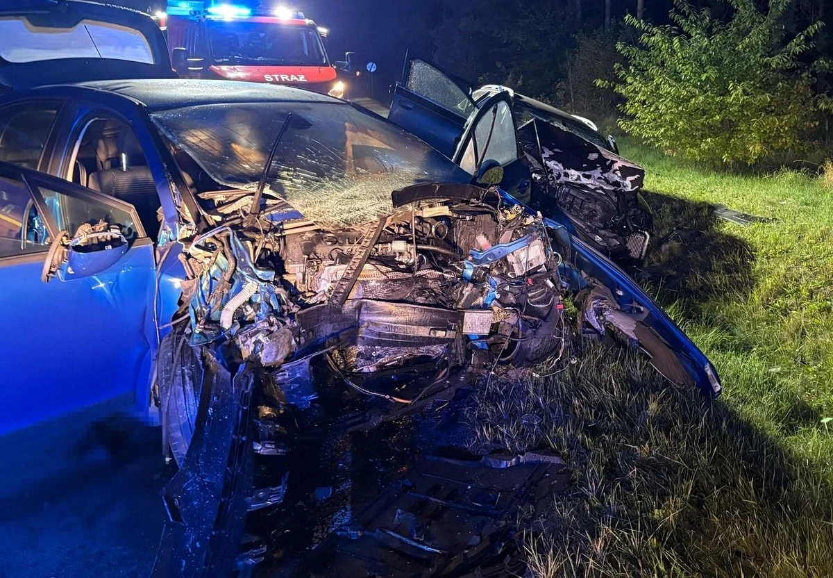 Cztery osoby - w tym dwoje dzieci w wieku 6 i 10 lat - z poważnymi obrażeniami trafiły do szpitala po wypadku w Woli Dużej w powiecie biłgoraskim na Lubelszczyźnie. Czołowo zderzyły się tam dwa auta osobowe. 