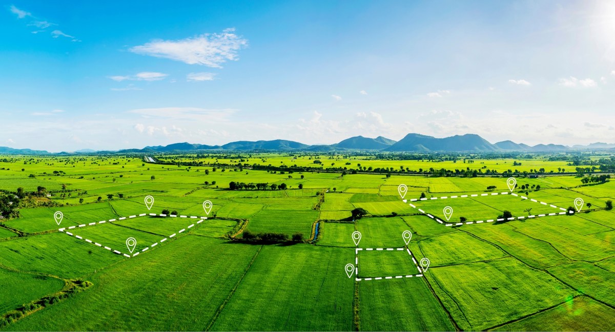 ​Jak zasiedzieć działkę sąsiada? Sąd Najwyższy wyjaśnia zasady
