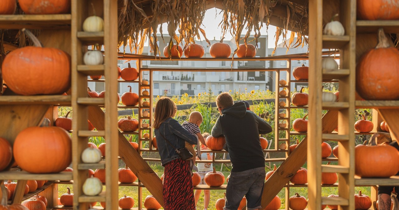 Nie masz pomysłu na weekendowy spacer? Tu cała rodzina będzie się świetnie bawić