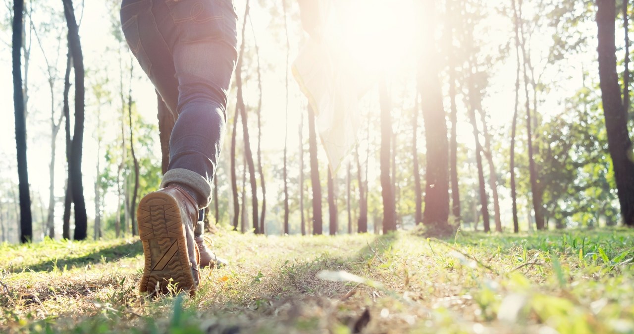 Długie spacery to długie życie. Zmniejszają ryzyko chorób i przedwczesnej śmierci