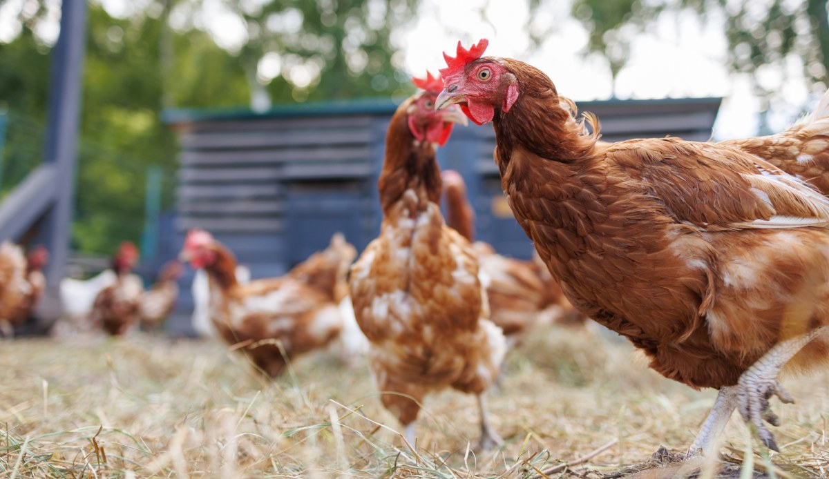 Polska poparła nową unijną umowę handlową z Ukrainą. Kto był przeciw?
