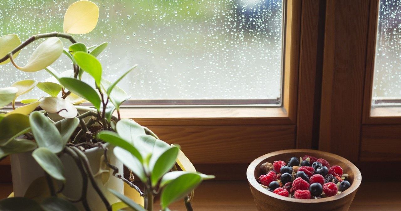 We Wszystkich Świętych pamiętaj o tym. Zapewnisz szczęście całej rodzinie