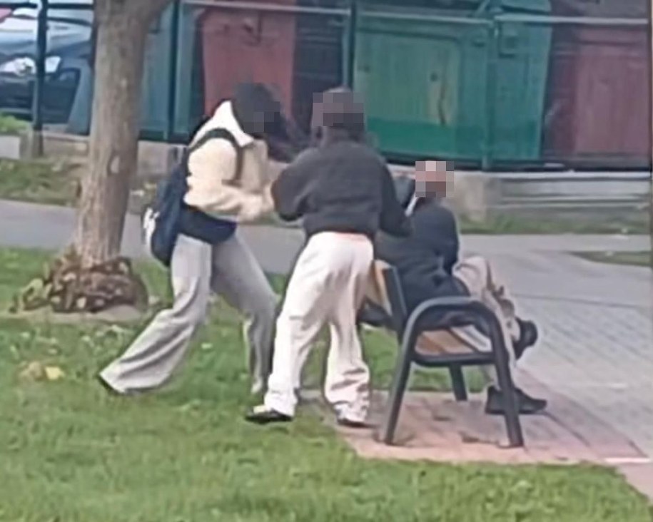 /Policja Krasnystaw /Policja