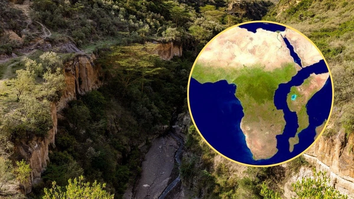 Pod powierzchnią Wschodniej Afryki zachodzą procesy, które mogą na zawsze zmienić mapę świata. Najnowsze badania satelitarne, pomiary GPS oraz obserwacje geologiczne potwierdzają, że jeden z największych kontynentów globu dosłownie pęka na pół. Naukowcy twierdzą, że ten rozłam kontynentalny może, w bardzo długim czasie, otworzyć nowy ocean, przekształcając dotychczasowe granice.