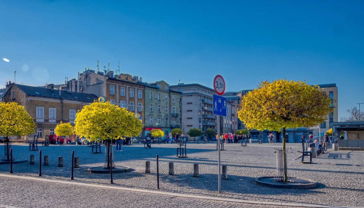 Krakowski plac Bohaterów Getta ma się nieco zazielenić. Część nawierzchni zostanie rozebrana, a w jej miejsce pojawią się kwatery z grabem pospolitym.