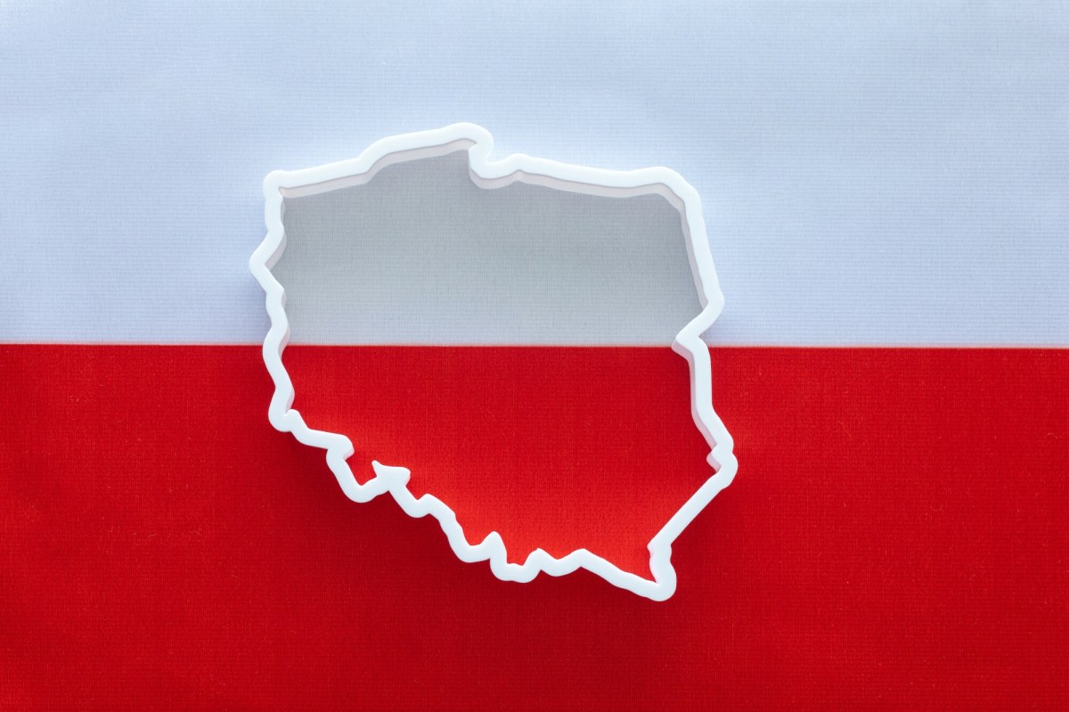 Rewolucyjne zmiany w nadawaniu obywatelstwa? Resort zapowiada debatę