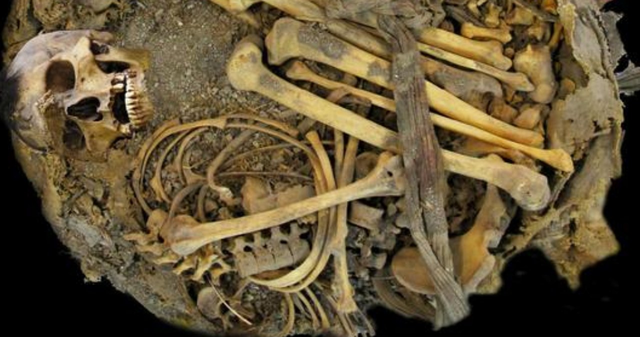 Jelita 1000-letniej mumii odkrywają zaskakujący starożytny świat