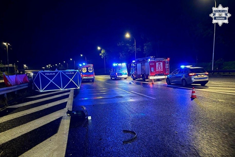 /Śląska policja /Policja