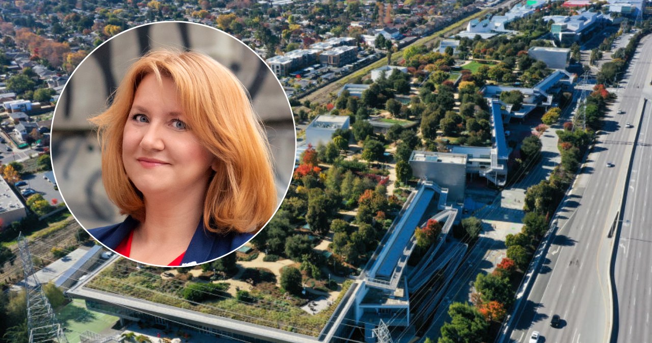 Nasze dane w rękach gigantów. "Wszyscy jesteśmy w tym mechanizmie"