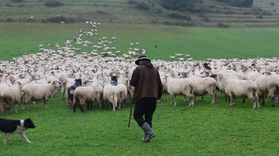 /Jacek Skóra /RMF FM