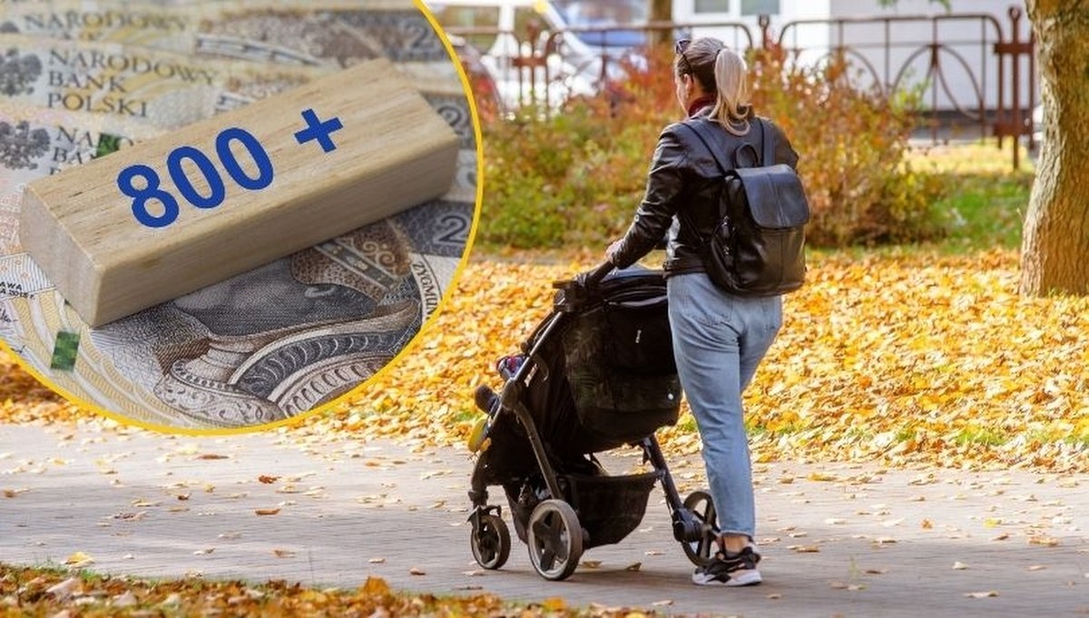 Zmiany w 800 plus już za trzy miesiące. Kogo dotyczą?