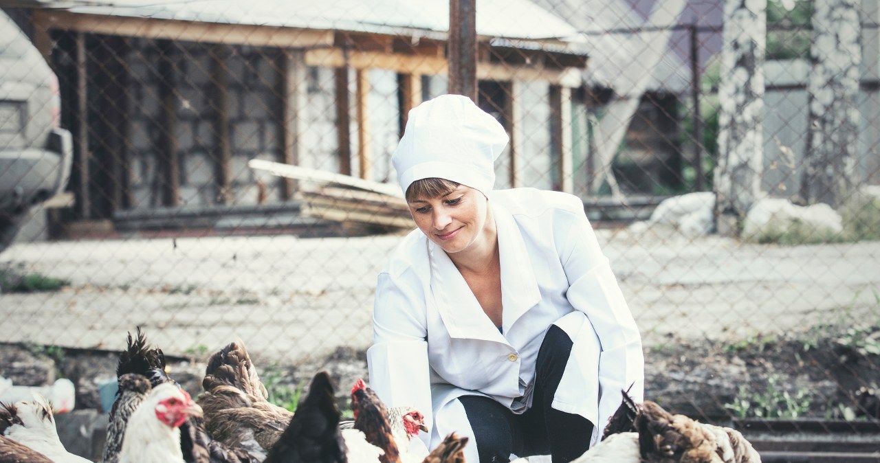 Tak się żyło kobietom na wsi w PRL. W quizie pytamy o ich codzienność