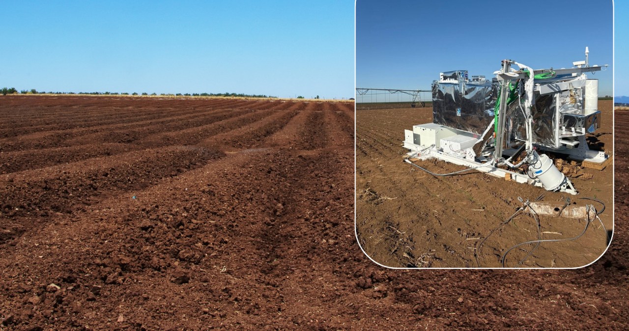 Znalazła na polu obiekt wielkości samochodu. Widziała, jak spada