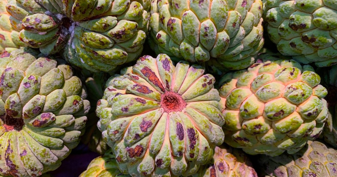 Mówią, iż smakuje jak najlepszy deser. Polacy prawie go nie znają, a szkoda