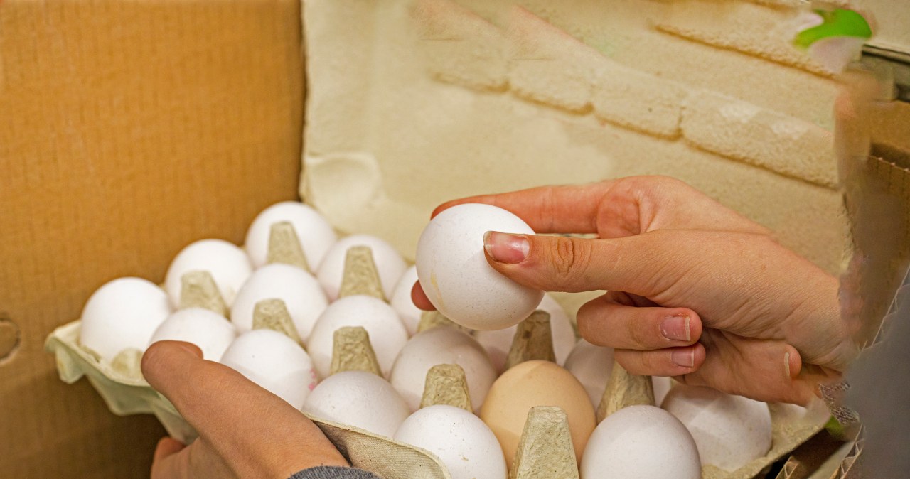 Nie wrzucaj ich byle gdzie! Ten błąd przy segregacji popełnia prawie każdy
