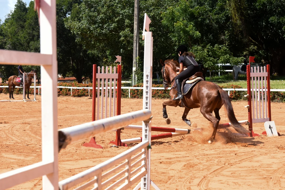 Policja wyjaśnia okoliczności dramatycznych wydarzeń w ośrodku jeździeckim w Ptakowicach w powiecie tarnogórskim na Śląsku. Doszło tam do potrącenia konia wózkiem widłowym, w wyniku wypadku zwierzę zginęło. 