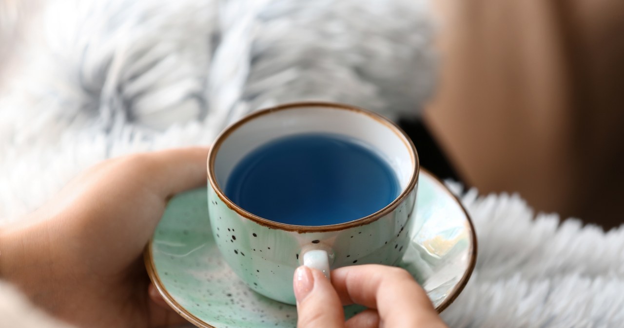 Niebieski eliksir na stres, zmęczenie i pamięć. Co potrafi Butterfly Pea Tea?