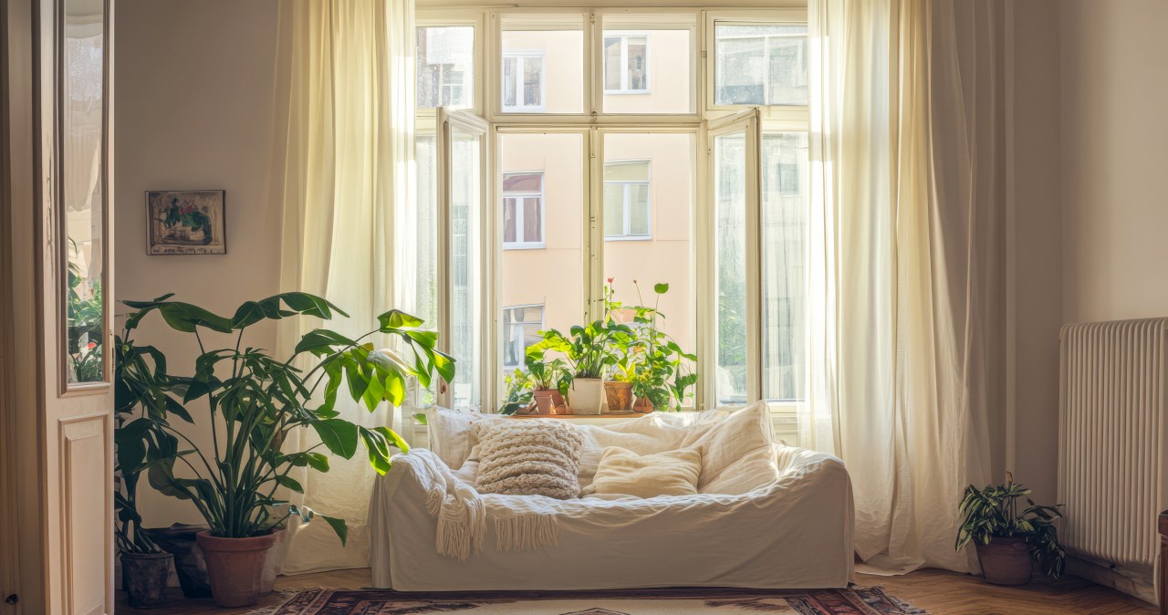 Zapach, który sam się rozchodzi. Prosty patent na świeże powietrze w domu