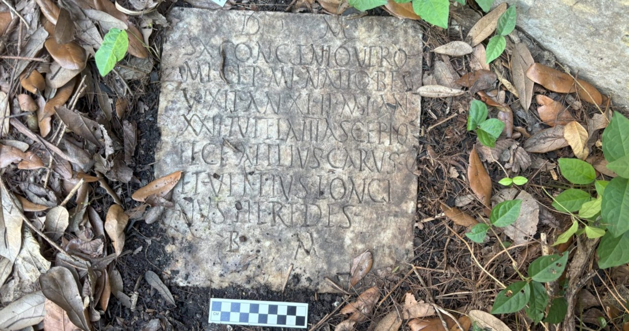 Znaleźli w ogródku marmur. Okazał się zaginionym skarbem