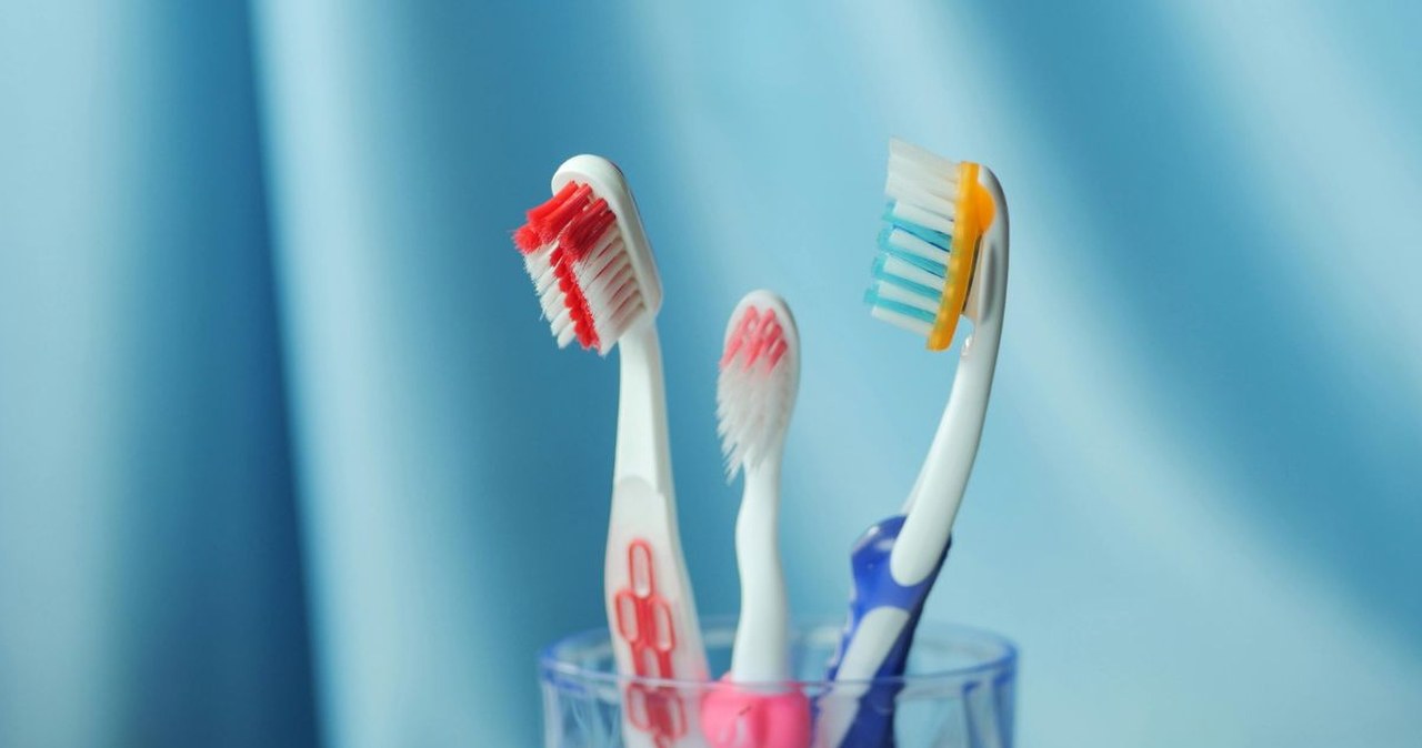Nieproszeni goście. Co naprawdę żyje w twojej szczoteczce do zębów?