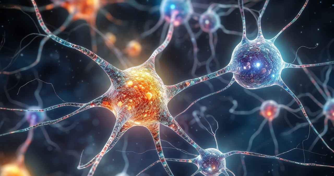 Wszechświat przypomina ludzki mózg i uczy się jak sztuczna inteligencja