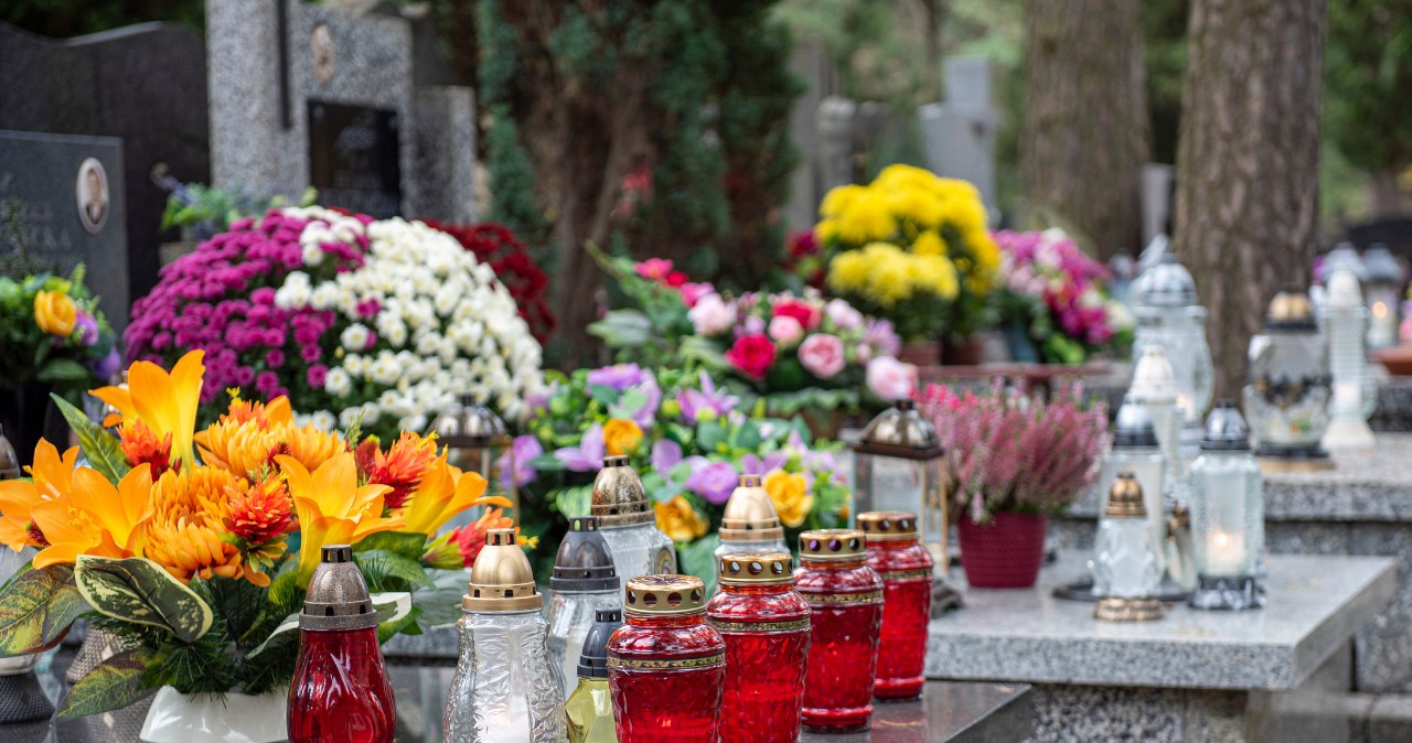 Od kilku lat wybieram zamiast chryzantem. Niestraszne przymrozki czy wiatr