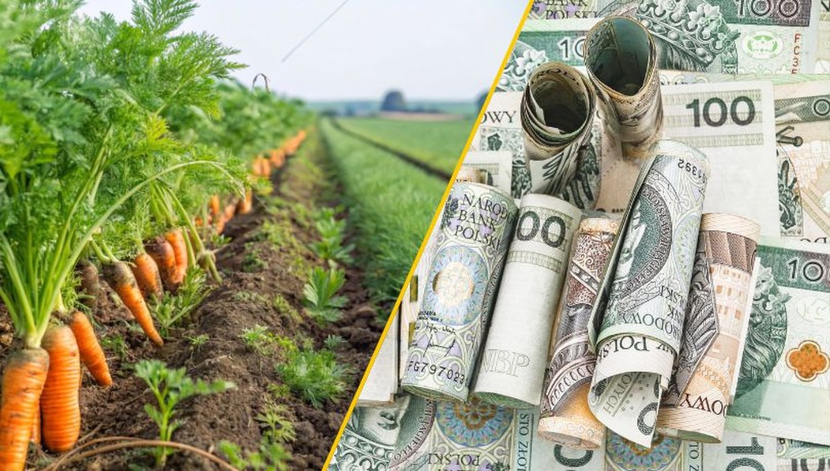 Nie przegap. Zgarnij choćby 120 tys. zł wsparcia