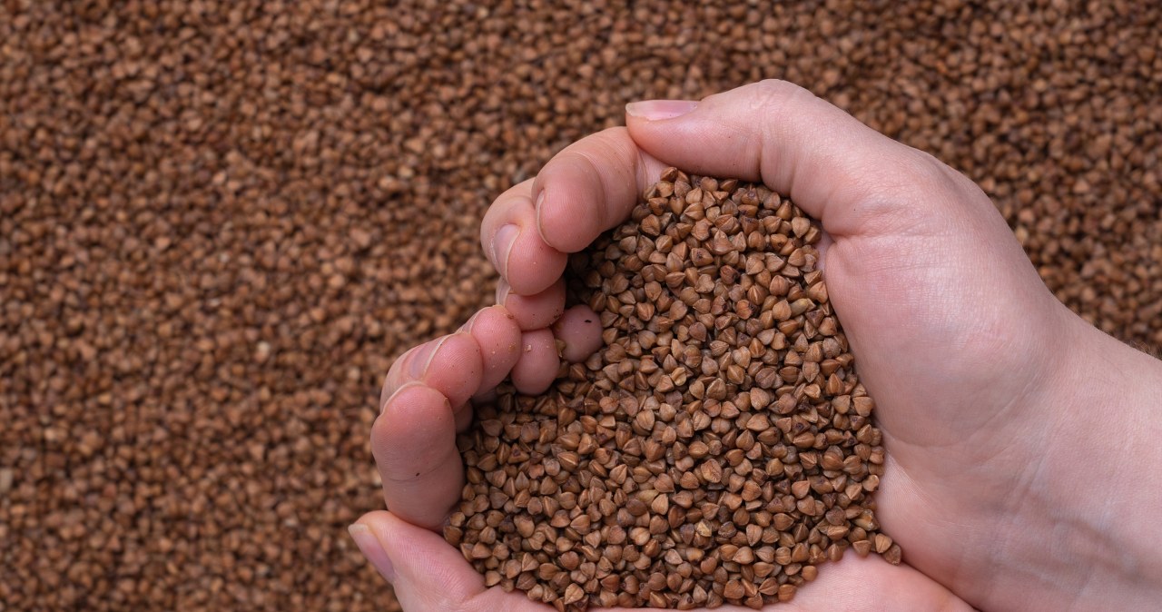 Kasza, która robi robotę. Płaskurka wraca na talerze, wspierając serce i jelita