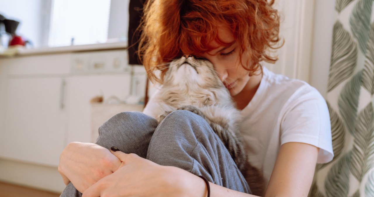 Co oznacza lizanie po głowie przez kota? Behawioryści wyjaśniają