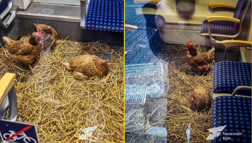 /foto: Feuerwehr Köln/Facebook /