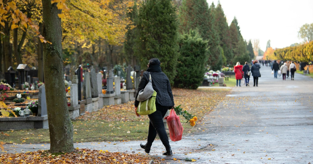 Idąc na cmentarz, pamiętaj o nakryciu głowy. Powód może cię zdziwić