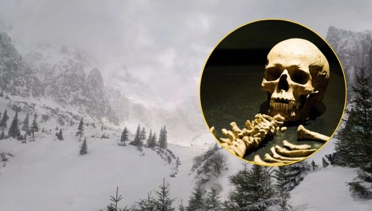 Topniejące lodowce alpejskie ujawniają ponure świadectwo I wojny światowej. Tysiące ciał pogrzebanych w śniegu i lodzie, żołnierze porzuceni na górskich przełęczach, zaginieni i nawet nie poszukiwani - tereny Alp, także w pobliżu znanych kurortów mogą być cmentarzyskiem całych zmumifikowanych armii. W ciągu ostatnich lat ciał odkrywa się coraz więcej.