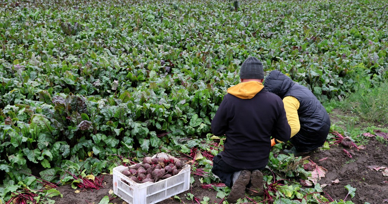 Kryzys w rolnictwie wisiał w powietrzu. "Pracowaliśmy na to od 20 lat"