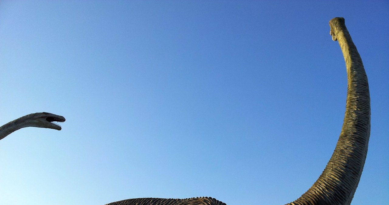 Wiadomo już jakim cudem wielkie dinozaury tak właśnie wyglądały