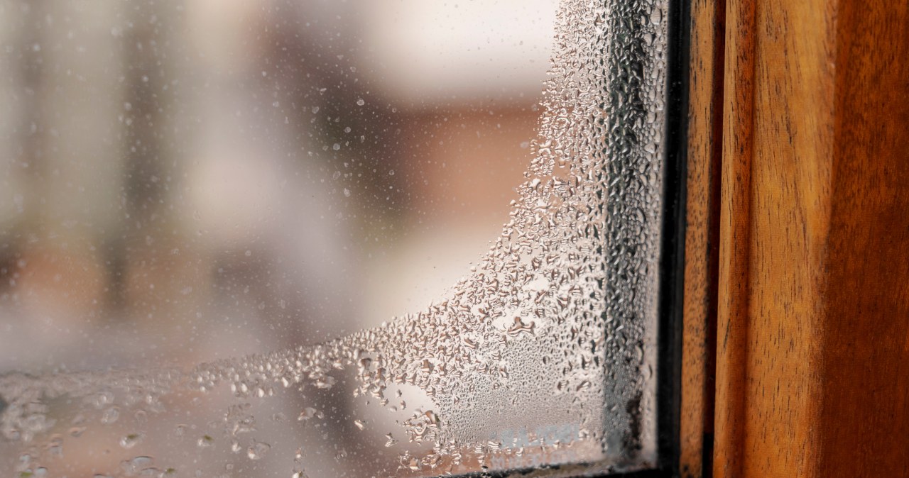 Przestaniesz co chwilę ścierać wodę z szyb. Prosty pochłaniacz wilgoci