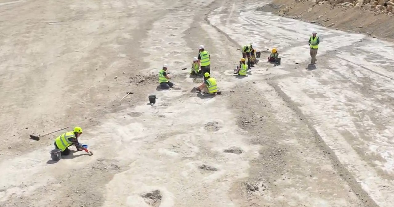 Niezwykłe znalezisko brytyjskich paleontologów. Odsłania tajemnice życia gigantów sprzed 166 mln lat